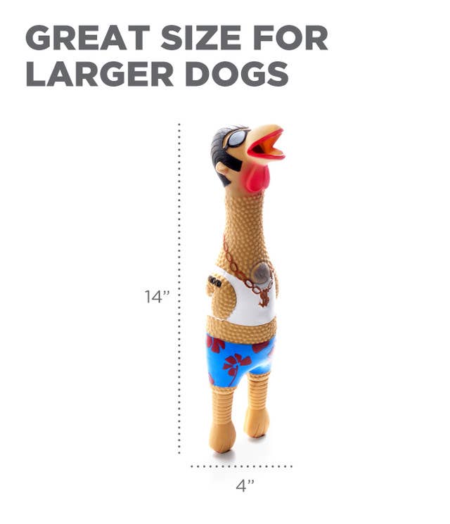 Charming Pet - Earl - Large