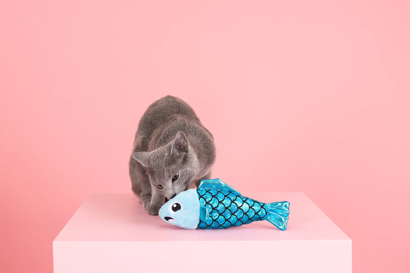 Cat Toy Blue Fish A Little Fishy Catnip Plush Toy
