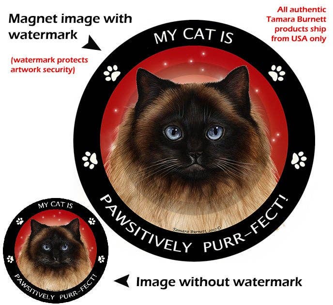 Himalayan Cat My Best Friend Circular Magnet