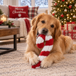 Dog Toy Candy Cane Christmas Plush Toy