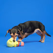Dog Toy Duck BARK Uncle Duck Plush Dog Toy S/M