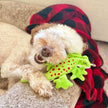 Dog Toy Lizard Stuffless Squeaker Toy