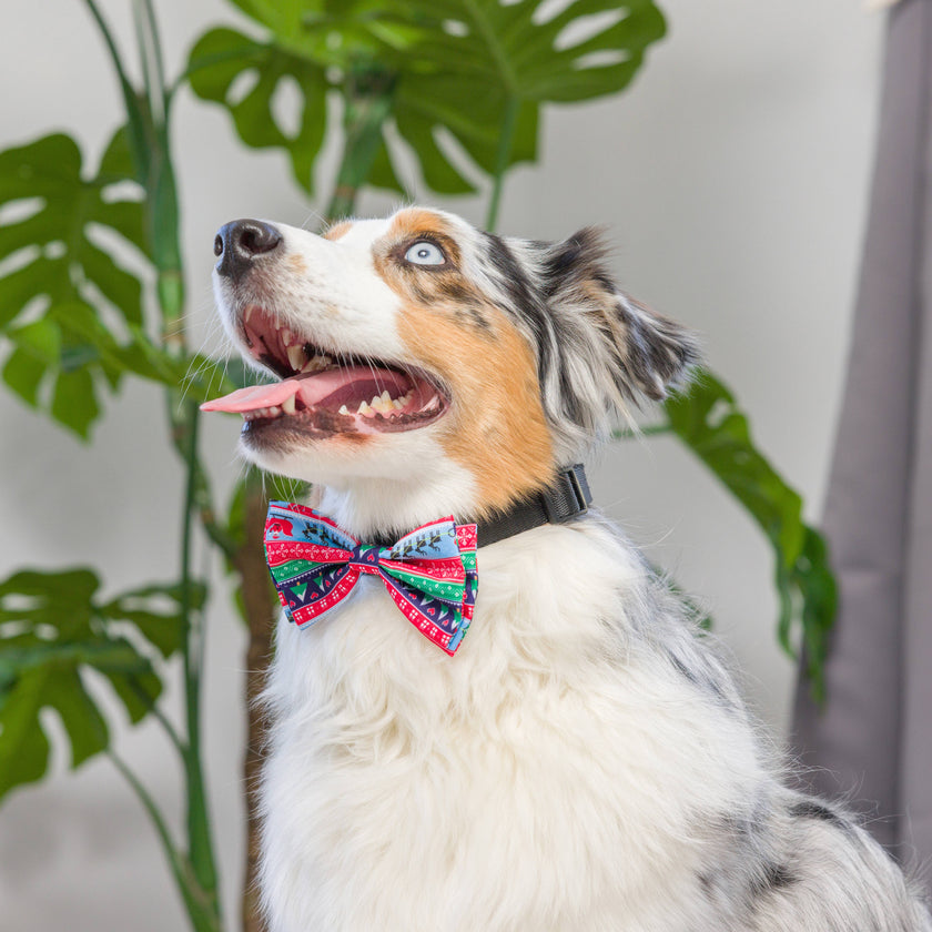 H&K Ugly Sweater Bow Tie