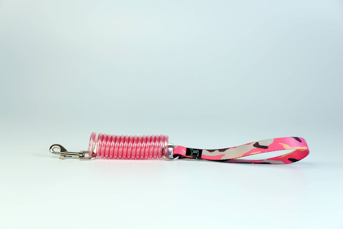 Unique Coil Pet Leash