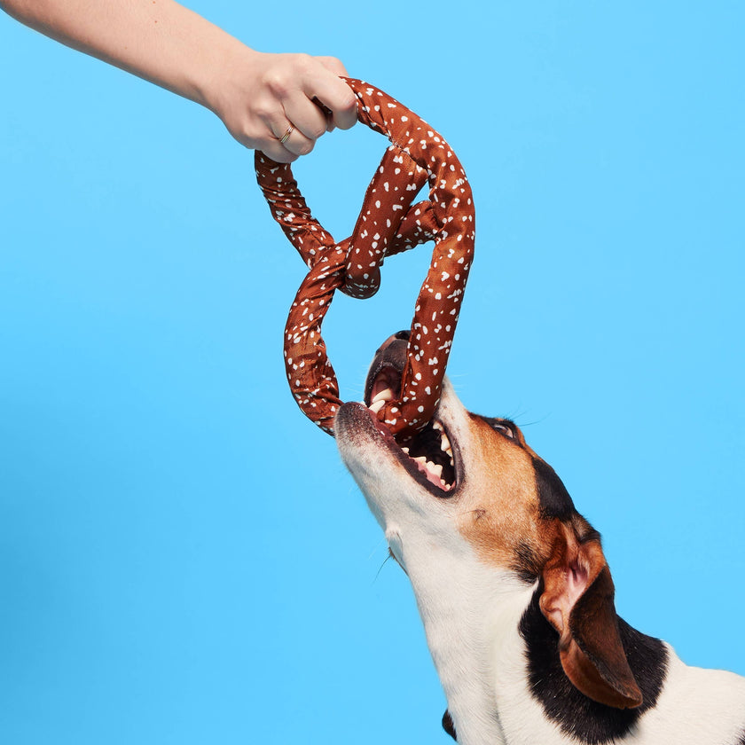 BARK Paula's Park Slope Pretzel Plush Dog Toy M