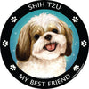 Shih Tzu Gold & White My Best Friend Circular Magnet