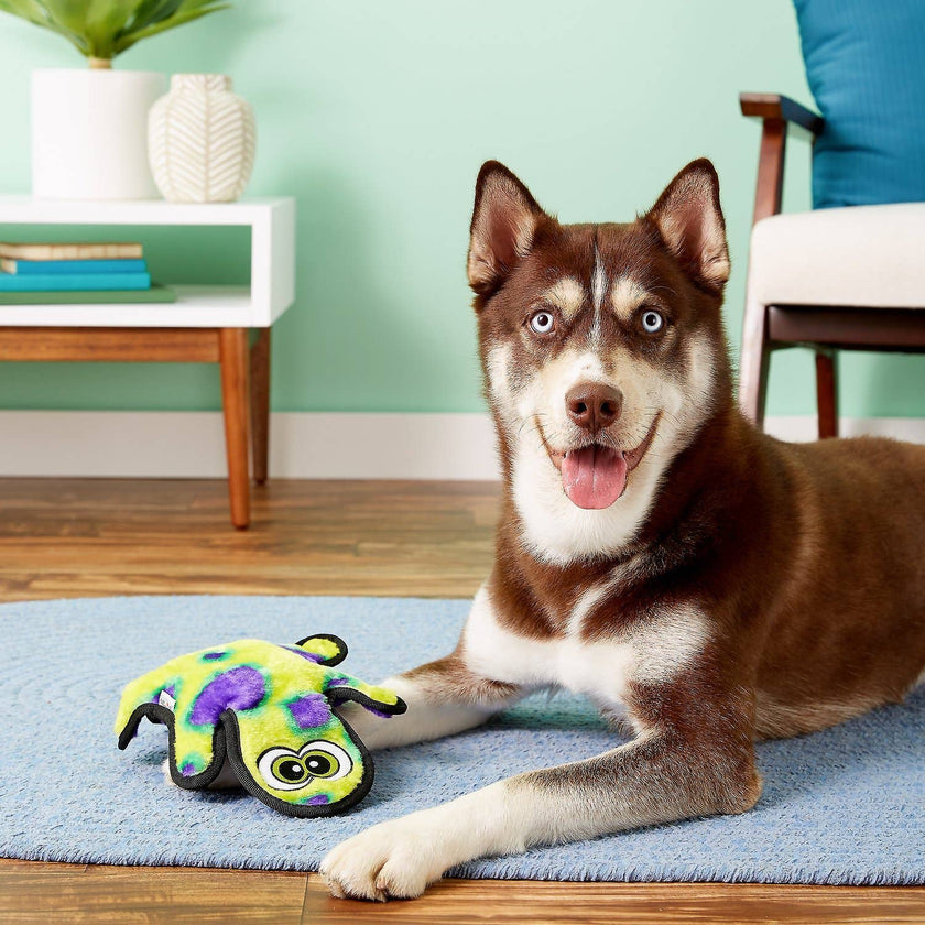Outward Hound Invincibles Gecko Durable Plush Toy Green LG