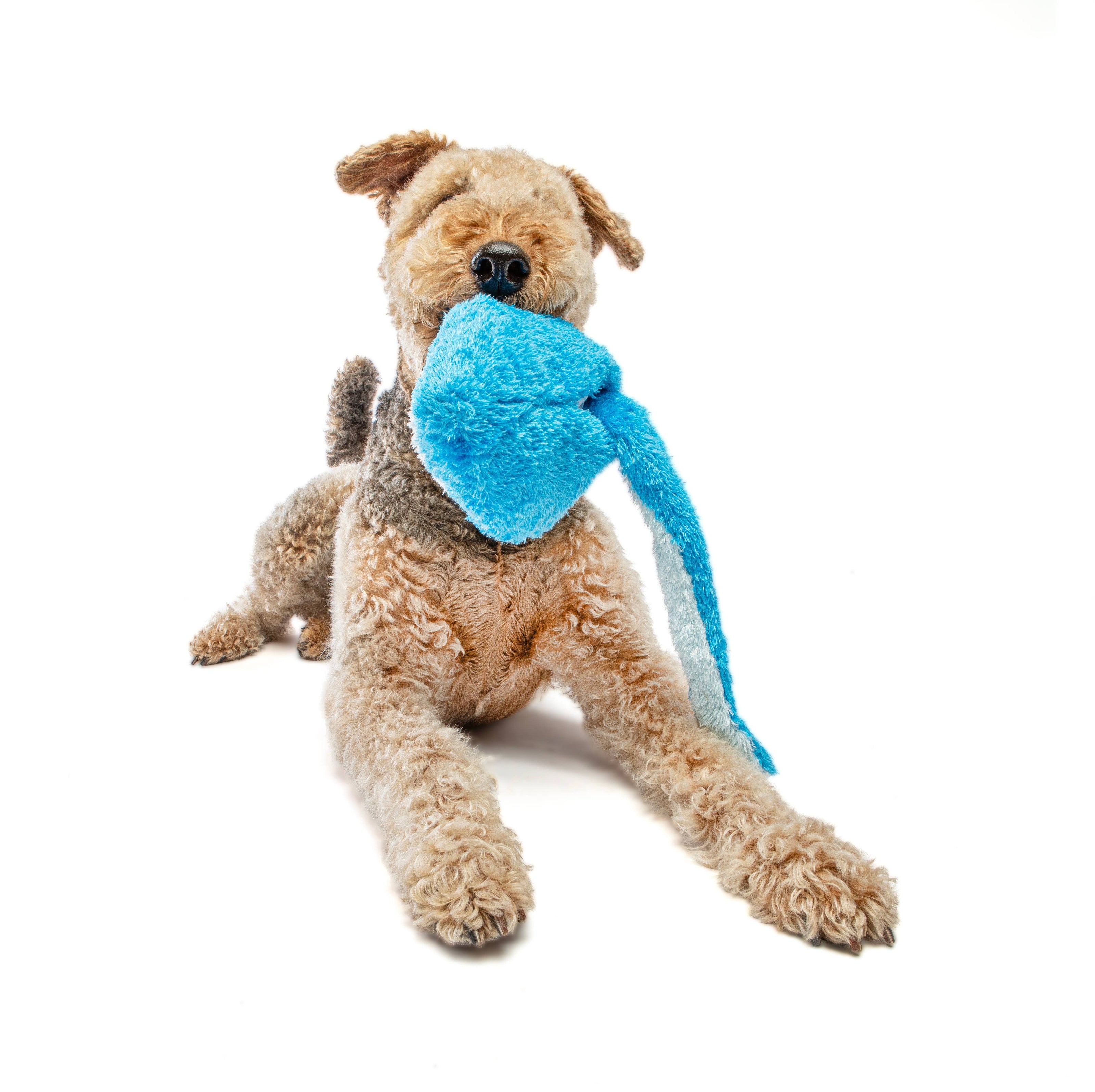 GURU Pet Company Hide-A-Tail Shark Interactive Plush Toy MED