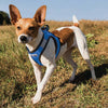 Reflective Lightweight Breathable Step in Dog Harness