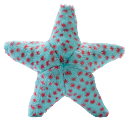 Ally Starfish Tuff Dog Toy