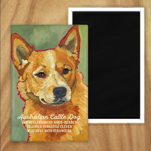Behold our classic Aussie Cattle Dog (Red) magnet, meticulously reproduced from an original oil painting by the renowned artist Ursula Dodge. This exquisite 2