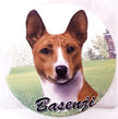 Basenji Car Coaster