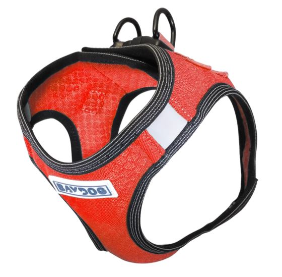 Bay Dog Harness- Red