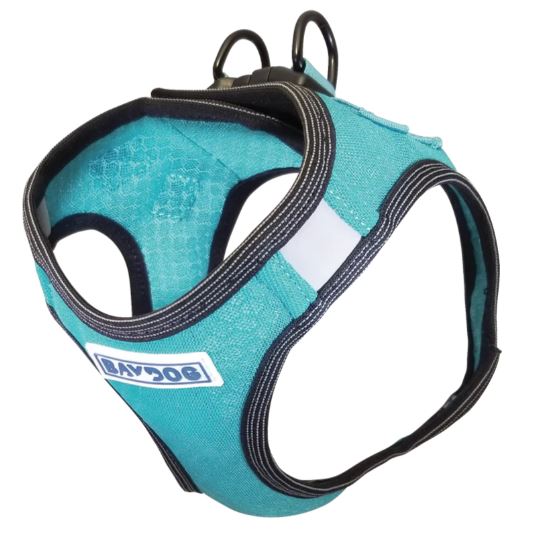 Bay Dog Harness- Sea Foam