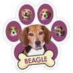 Beagle Paw Car Trunk Magnet