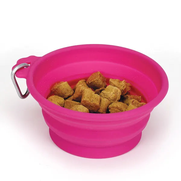 Bend a Bowl Travel Bowl