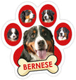Bernese Paw Car Trunk Magnet