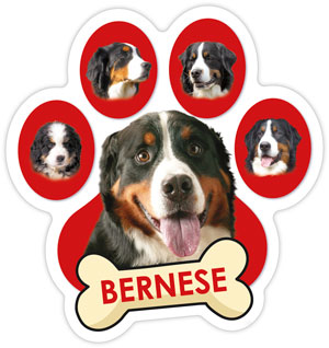 Bernese Paw Car Trunk Magnet