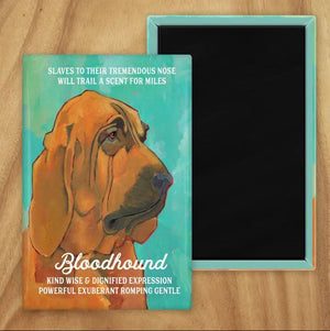 Behold our classic Bloodhound magnet, meticulously reproduced from an original oil painting by the renowned artist Ursula Dodge. This exquisite 2