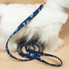 Lightweight Lead -Blue Paws