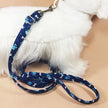 Lightweight Lead -Blue Paws