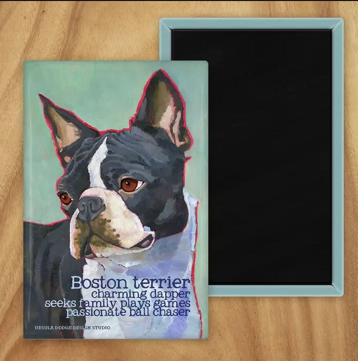 Behold our classic Boston Terrier magnet, meticulously reproduced from an original oil painting by the renowned artist Ursula Dodge. This exquisite 2