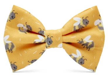 Doggie Bow Tie- Buzz