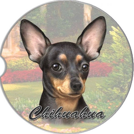 Chihuahua, Black Car Coaster