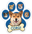 Corgi Paw Car Trunk Magnet Blue