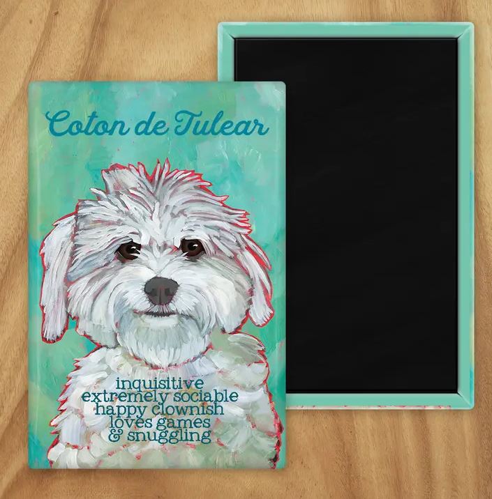 Behold our classic Coton De Tulear magnet, meticulously reproduced from an original oil painting by the renowned artist Ursula Dodge. This exquisite 2