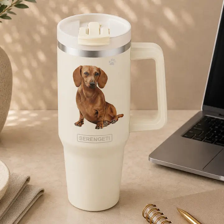 Dachshund Red 40 oz Tumbler with Handle and Straw Lid