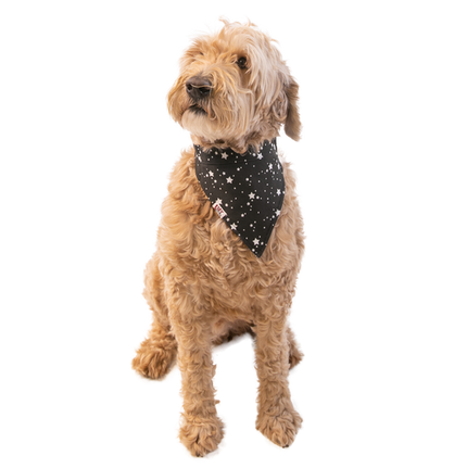Bark Side Dog Reversible Bandana
