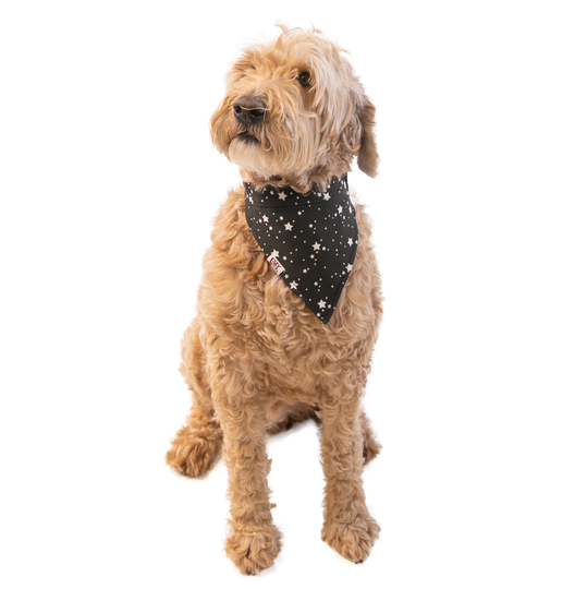 Bark Side Dog Reversible Bandana