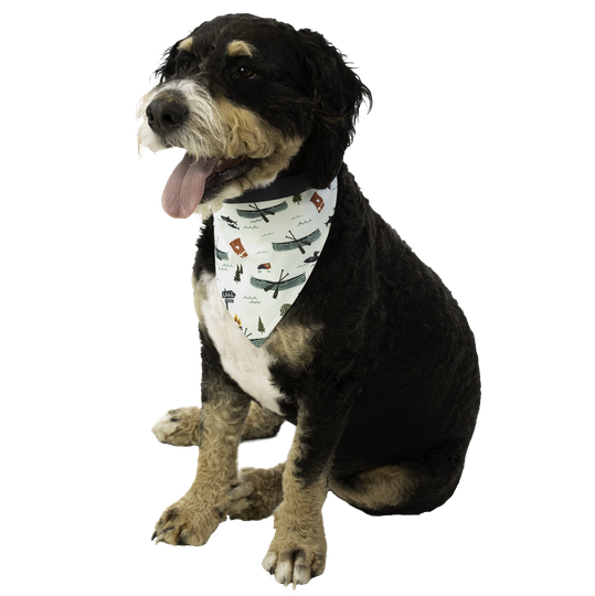 Lake It Easy Dog Reversible Bandana