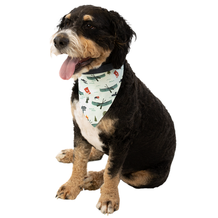 Lake It Easy Dog Reversible Bandana