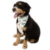 Lake It Easy Dog Reversible Bandana