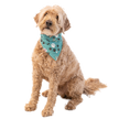 Fur Baby Dog Reversible Bandana