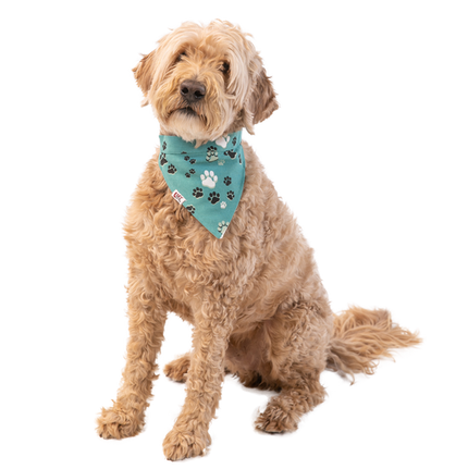Fur Baby Dog Reversible Bandana