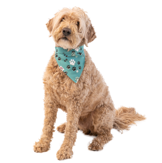 Fur Baby Dog Reversible Bandana