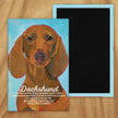 Behold our classic Dachshund magnet, meticulously reproduced from an original oil painting by the renowned artist Ursula Dodge. This exquisite 2