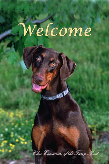 Doberman Garden Flag (Welcome)