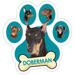 Doberman Paw Car Trunk Magnet Teal