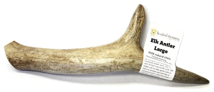 Bulk Elk Antler- Large Whole Dog Chew