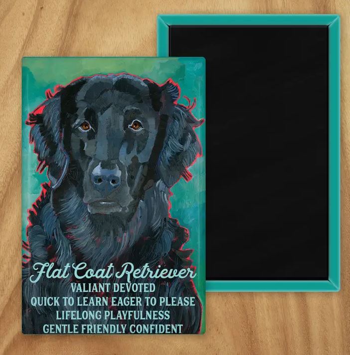 Behold our classic Flat Coated Retriever magnet, meticulously reproduced from an original oil painting by the renowned artist Ursula Dodge. This exquisite 2