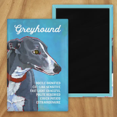 Behold our classic Greyhound Magnet, meticulously reproduced from an original oil painting by the renowned artist Ursula Dodge. This exquisite 2