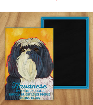 Behold our classic Havanese Magnet, meticulously reproduced from an original oil painting by the renowned artist Ursula Dodge. This exquisite 2