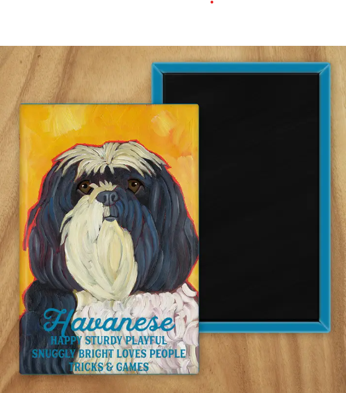 Behold our classic Havanese Magnet, meticulously reproduced from an original oil painting by the renowned artist Ursula Dodge. This exquisite 2