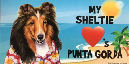 My Sheltie Loves Punta Gorda - Car Magnet