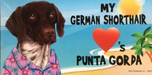 My German Shorthair Loves Punta Gorda - Car Magnet