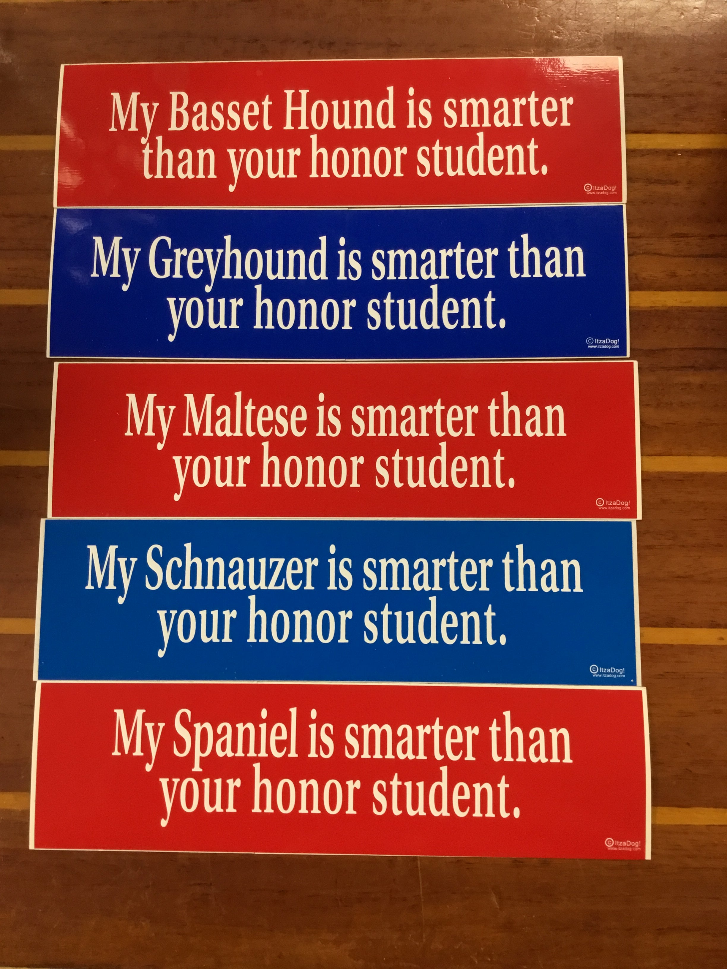 My ___ is Smarter Than Your Honor Student Bumper Sticker